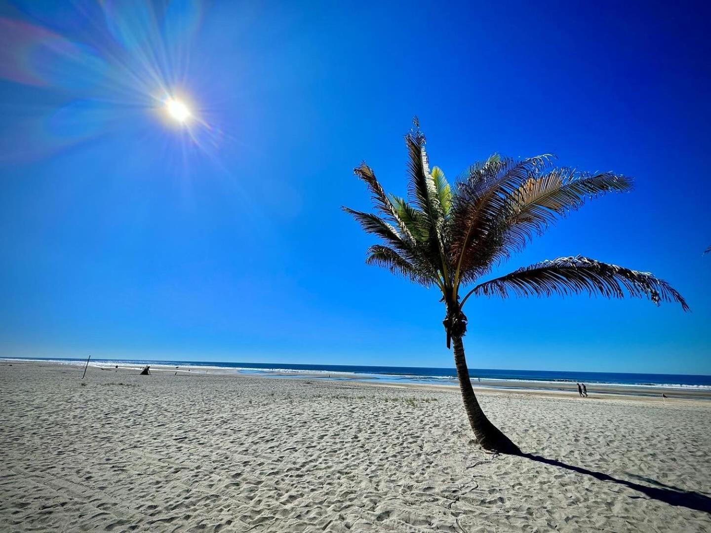 Hotel Tesoro Beach San Luis La Herradura المظهر الخارجي الصورة